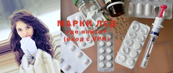 индика Балахна